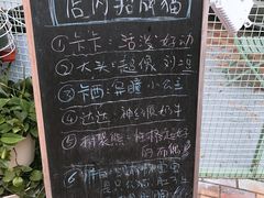 门面-有猫主题·治愈系猫咖(曾厝垵店)