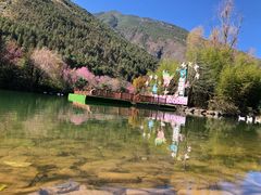 -蝴蝶泉公园