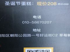 -Strawberry Butterfly草莓蝴蝶日式水果挞