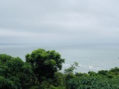 -广东惠东海龟国家级自然保护区