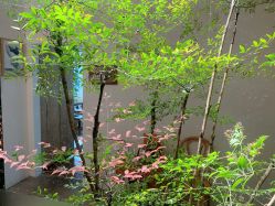 点击看大图 -Y+U遇瑜伽·普拉提