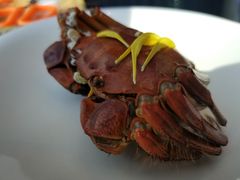 -蟹榭·本帮江浙菜·蟹宴(五角场合生汇商场店)