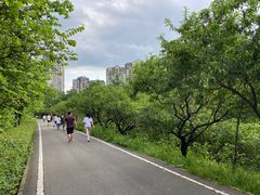 -广东花都湖国家湿地公园