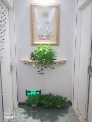 -美丽田园