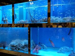 -金悦轩海鲜酒家(银河店)