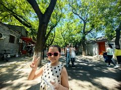 -北京国子监胡同
