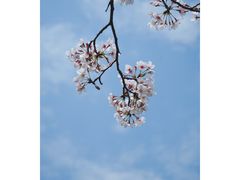 -独墅湖图书馆停车场