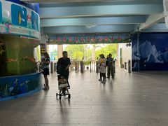 -泉州海丝野生动物世界