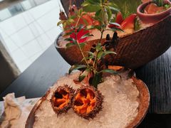 -花潮料理艺食馆(SM新生活广场店)