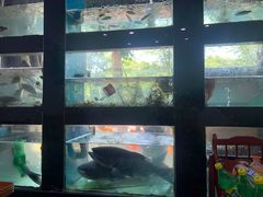 -全乐鱼馆·淳牌有机鱼直营店
