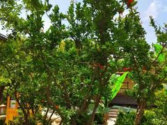 -华山御温泉度假村