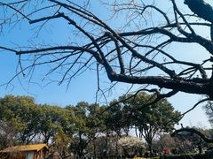 -无锡梅园公园
