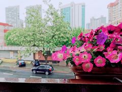 -自由之丘