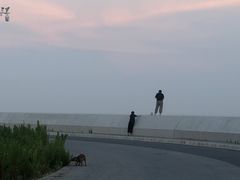 -南汇新城海滩