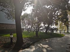 -同里湖度假村(二期店)