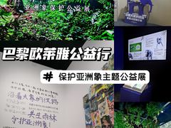 -上海自然博物馆