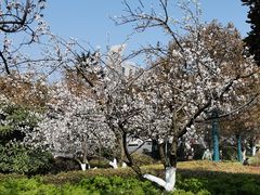 -云龙湖旅游景区