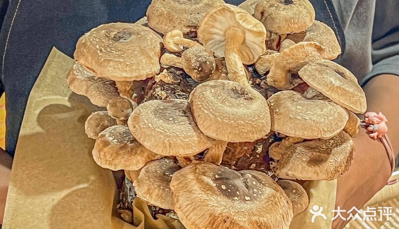 秋天吃酸火锅？就在愚园路上的粉色花园里！