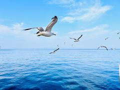 -大连海昌东方水城