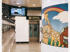 -上海动物园(地铁站)