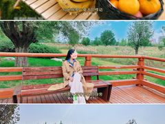 -汉长安城未央宫国家考古遗址公园