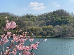 -云碧峰国家森林公园