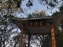 -红花湖景区