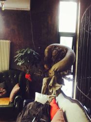 店内环境-新肤洗纹身