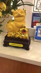 -兰派国际美容养生SPA