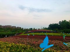 -天府芙蓉园