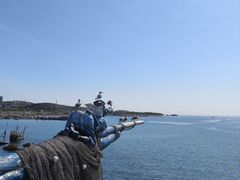 -大连老虎滩海洋公园