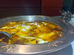 -雲蜀龙阁·金牌水煮鱼(方庄店)