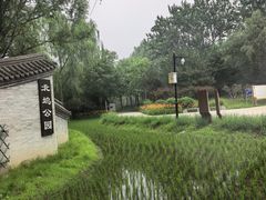 -北坞公园