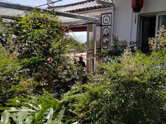 -瑞丰园庭院餐厅·白族传统家常菜