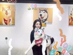 -Husky Go! 哈士奇体验馆·宠物咖啡厅狗咖