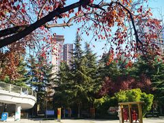 -木塔寺遗址生态公园