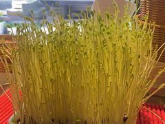 -番食园鲜食火锅(高新店)