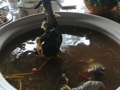 -杨记山珍鸡煲菌汤锅