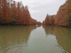 -上海海湾国家森林公园