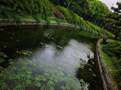 -蠡湖大桥公园