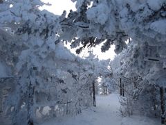 -亚布力新体委滑雪场