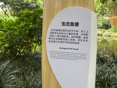 -成都市活水公园