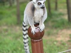 -杭州野生动物世界