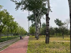 -世东国际