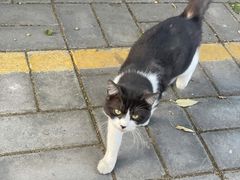 -姥家大锅台水库渔家