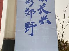 -上海长兴岛郊野公园
