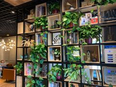 -ZING COFFEE 镜咖啡