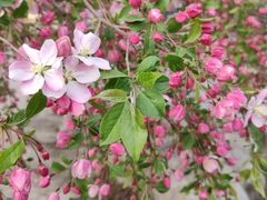 -元大都城垣遗址公园