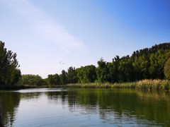 -丹江渔村(望京店)