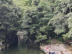 -大鄣山卧龙谷景区